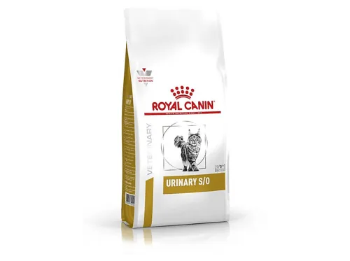 Pienso para gatos | ROYAL CANIN Pienso Urinary S/O para Gato, 1,5 kg, para Gato