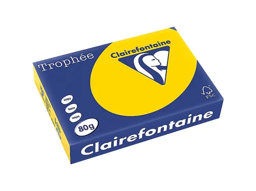 Papel para impresora | CLAIRALFA 1780C - A4, 80g/m2, Resma (Nº hojas: 500/pack). - Color: Oro, 80 g/m² g/m², A4, Oro
