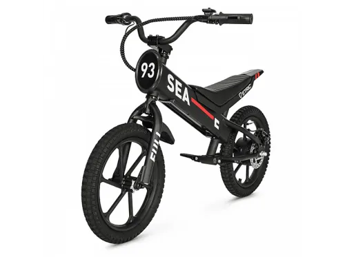 Bicicleta sin pedales | ECOXTREM SEA-35
